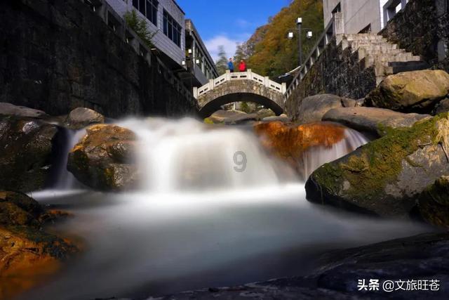【甘快看】新春走基层 兰州新区30万枝郁金香浪漫上线